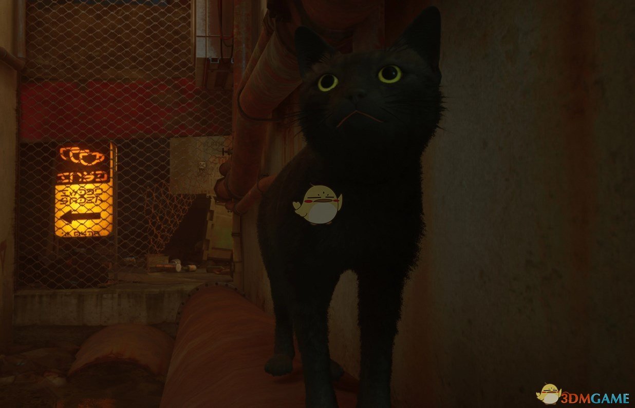 《Stray》不同瞳色的黑猫MOD