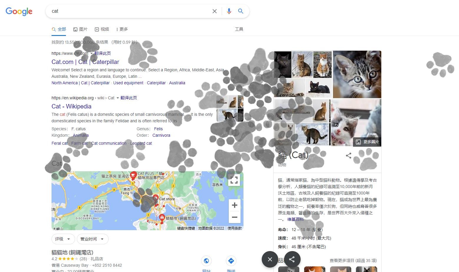 欢迎国际猫咪日 谷歌上线猫咪爪印彩蛋小游戏