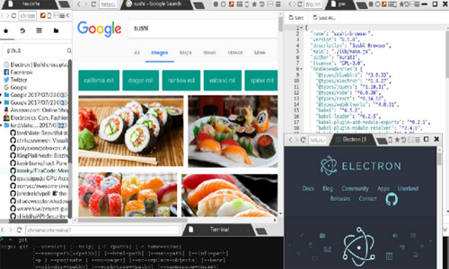 寿司浏览器v0.29.1