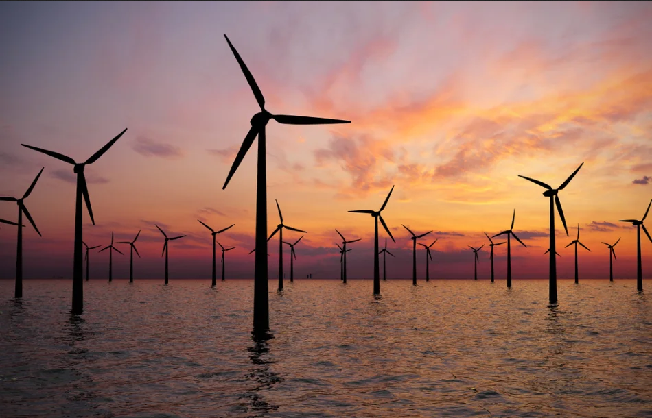 齐球最大年夜海下风电场止将启用：可给130万个家庭供电