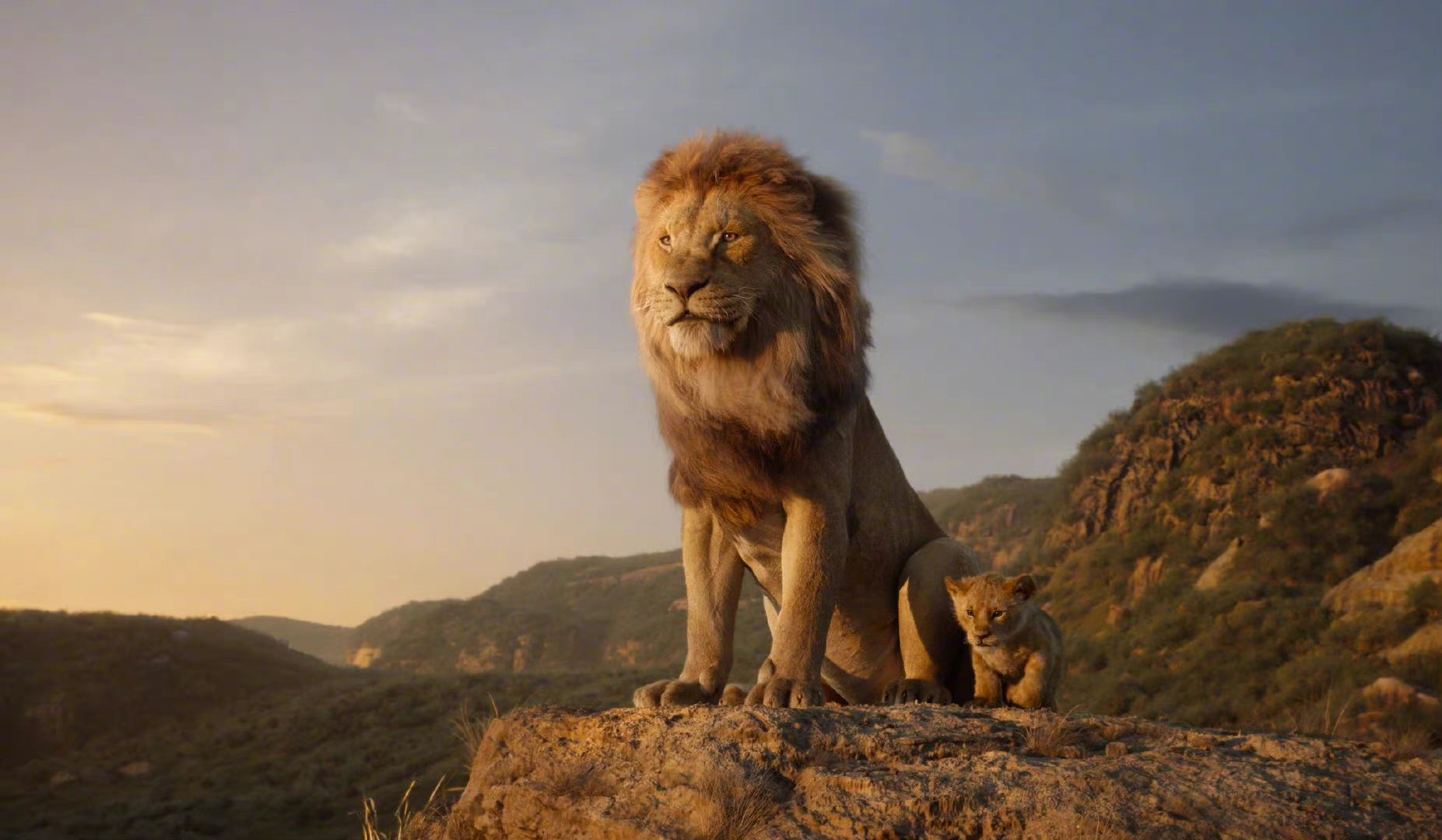 《狮子王》真人版电影前传公布 2024年上映