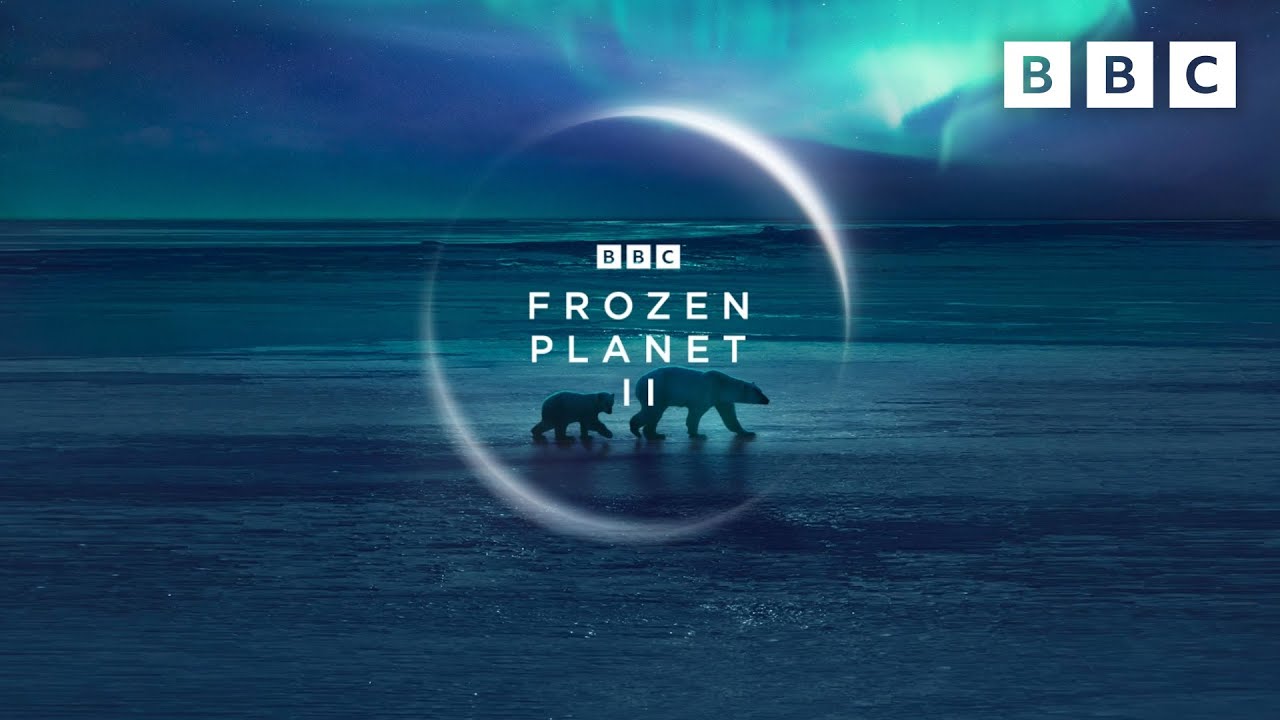 《我的界联纪录世界》联动BBC纪录片 推出《冰冻星球》地图