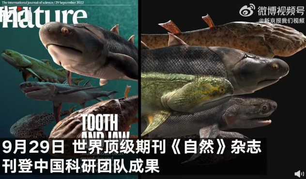 Chinese scientists have confirmed that human beings evolved from fish and the evolution process takes nearly 500 million years