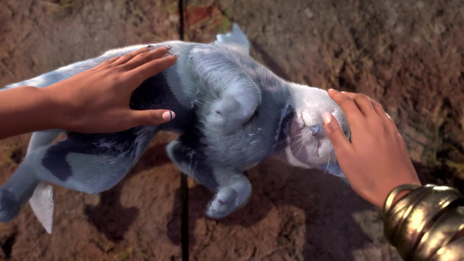 《魔咒之地》新预告片展示探索和宠物部分