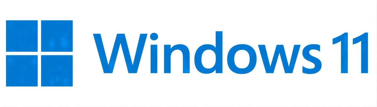 Windows11正式版build 22621.900支布