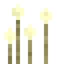 ҵ硷ħөô