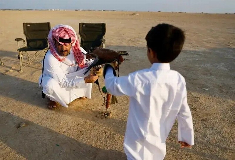 卡塔尔家长教育方式：鼓励孩子训鹰 比玩电子游戏好
