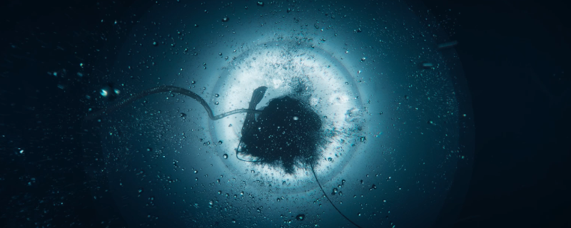 �������ֿ̲�С����ʲô�ص�