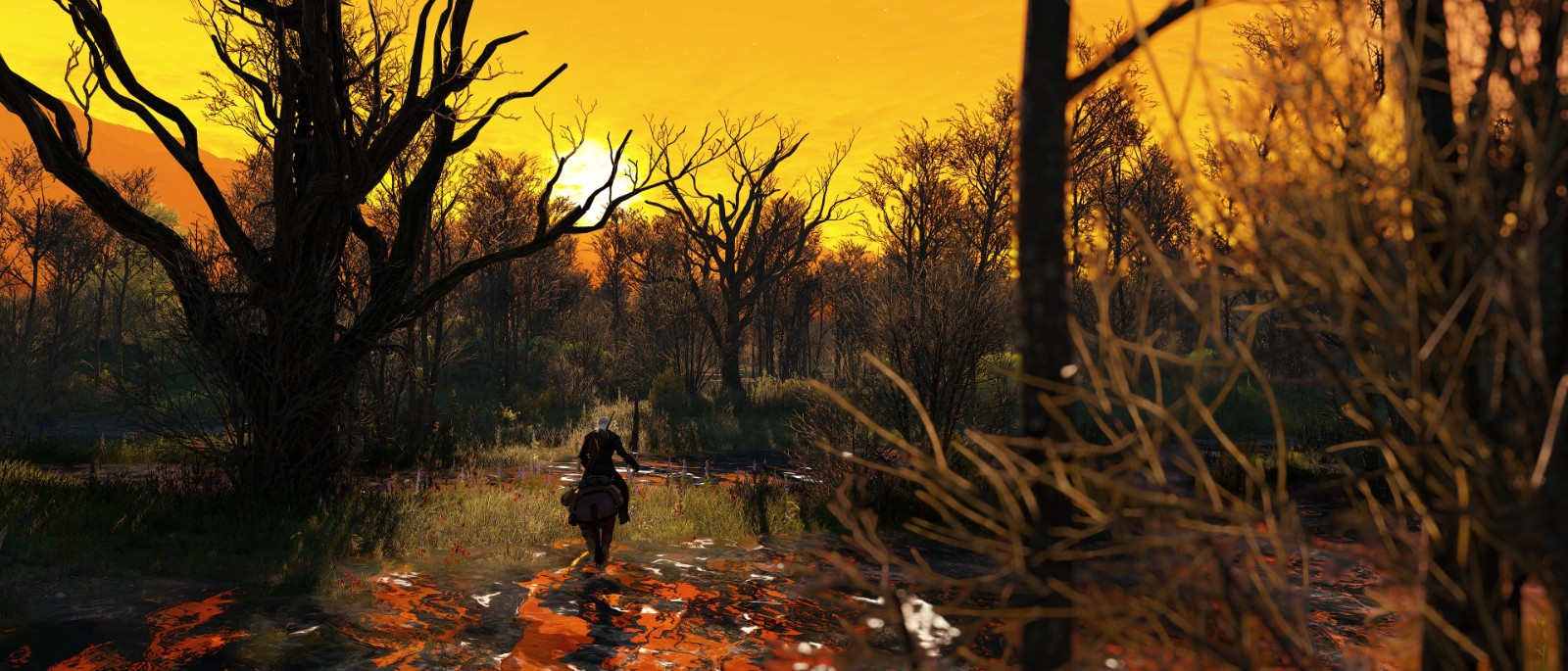 《巫师3：狂猎》次世代拍照模式美图赏 风景太美丽 二次世界 第10张