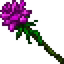 ҵ硷3ô