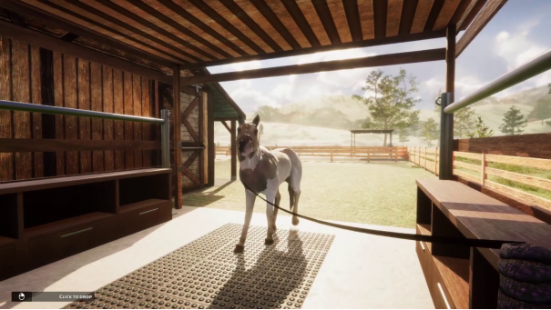 《动物收容所》公布全新DLC——《马匹收容所》闪新登场！ 二次世界 第4张
