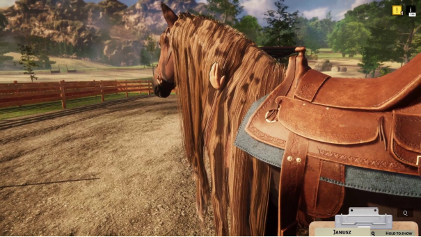 《动物收容所》公布全新DLC——《马匹收容所》闪新登场！ 二次世界 第3张