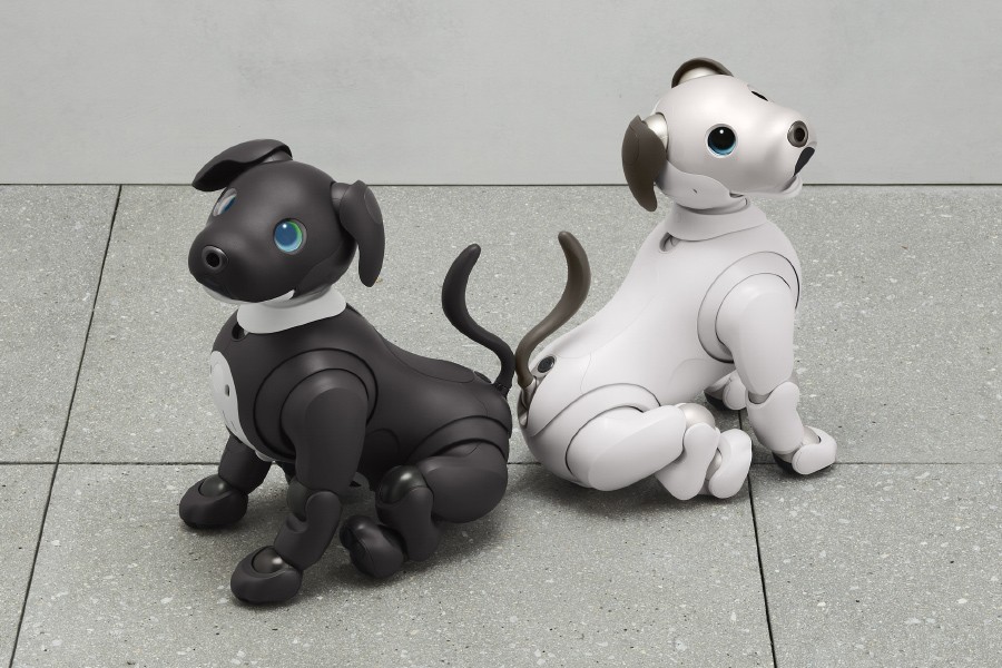 索尼机器宠物狗aibo推出2023限定颜色款 性能不变