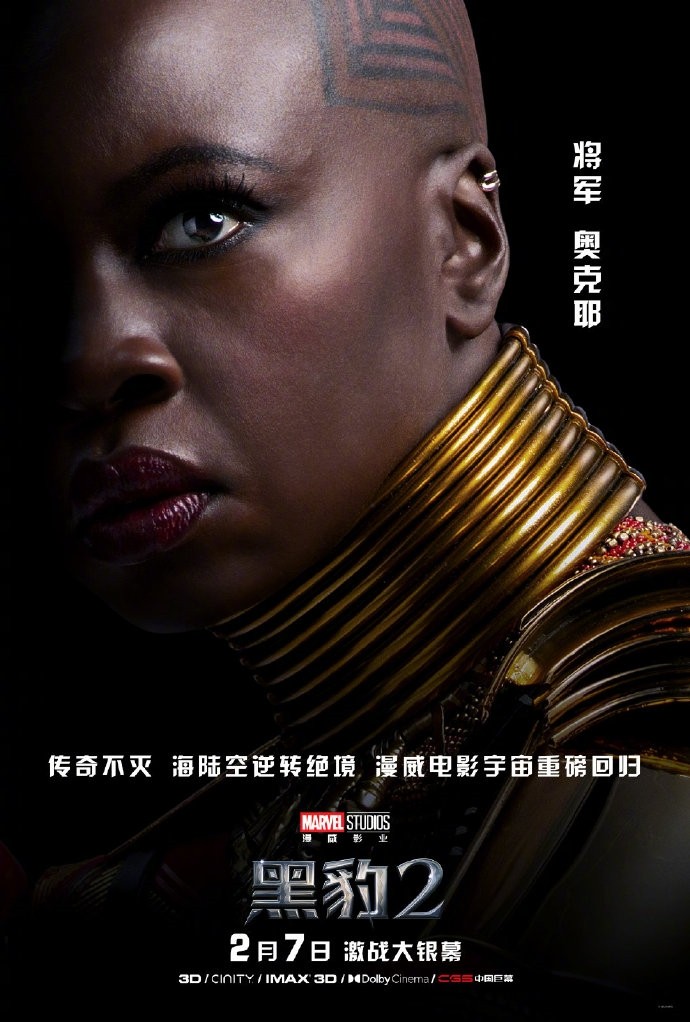 《黑豹2》中国角色海报：瓦坎达英雄集结 2月7日上映