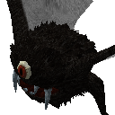 ҵ硷ֲ