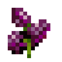 ҵ硷Ⱥʹ˵ݮô