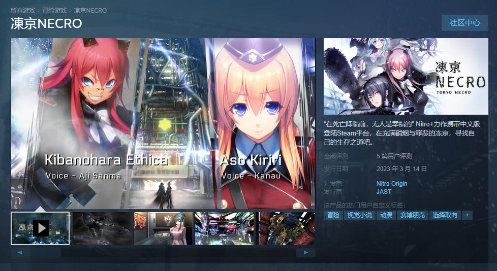 视觉小说《冻京NECRO》Steam版正式发售 支持中文