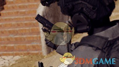 《严阵以待》MP445替换M11MOD