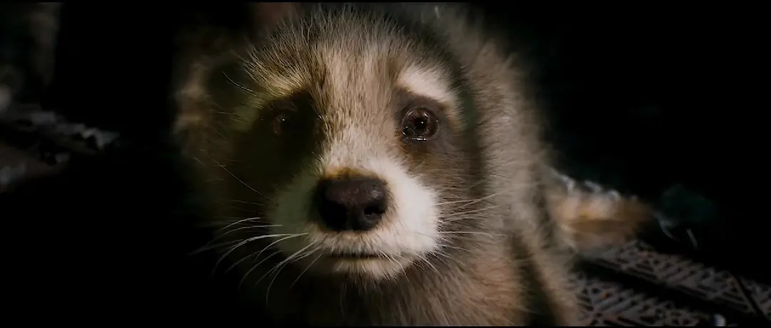 古恩表示拍《银护3》的为了讲好火箭浣熊的故事