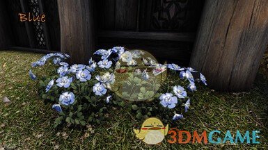 《上古卷轴5：天际重制版》大教堂3D山花交替纹理MOD