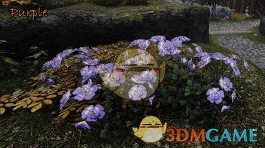 《上古卷轴5：天际重制版》大教堂3D山花交替纹理MOD