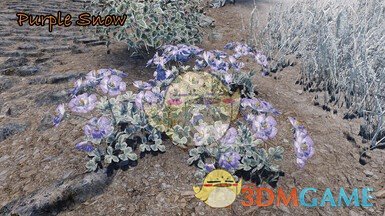 《上古卷轴5：天际重制版》大教堂3D山花交替纹理MOD