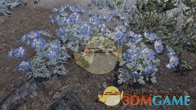 《上古卷轴5：天际重制版》大教堂3D山花交替纹理MOD