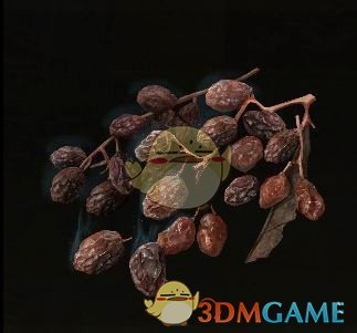 《艾尔登法环》有用的零食MOD