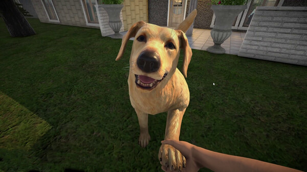 经营模拟游戏《宠物旅馆》将于今日登陆Steam平台