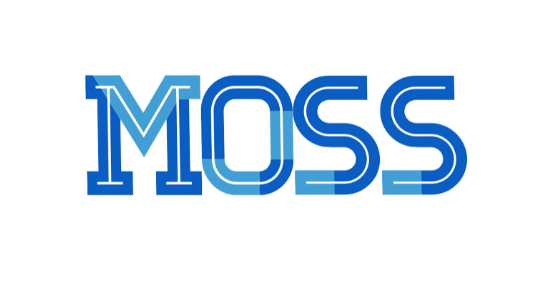 国内类ChatGPT模型MOSS开源 RTX3090隐卡可运止