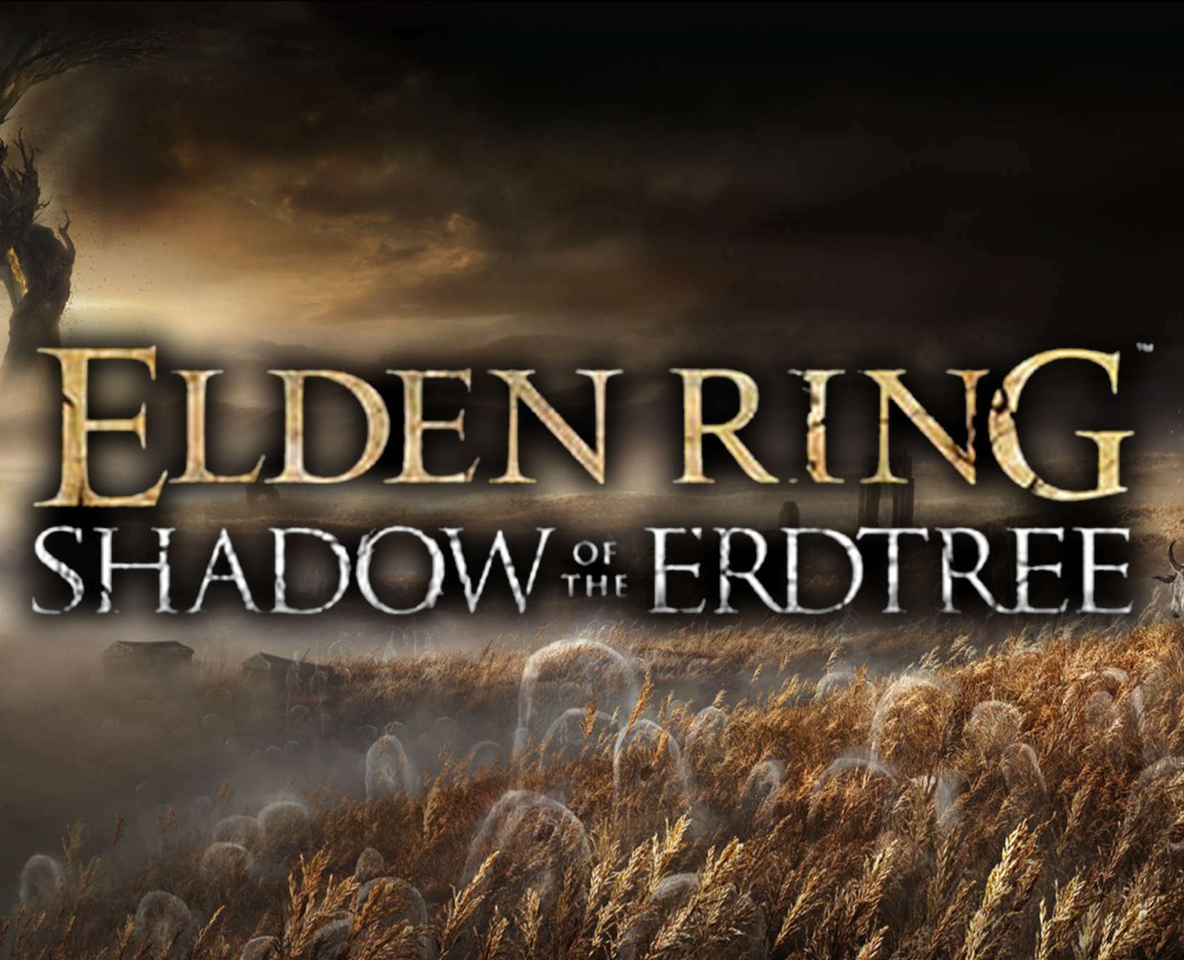 《老头环》DLC“黄金树之影”早在去年四月就开始开发