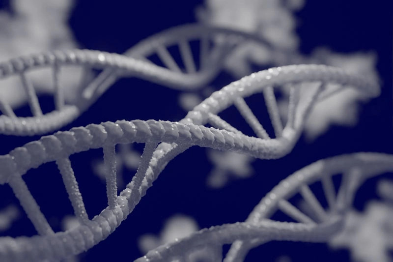 DNA存储数据新冲破 每次可读与25个文件