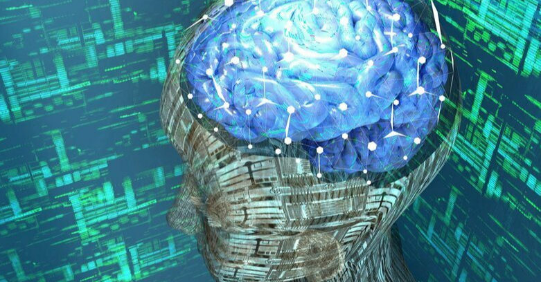 东京大学研究者未来构想 人脑移植AI芯片成为百科全能