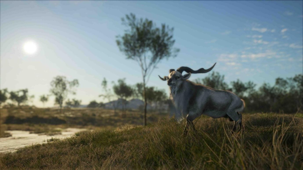 《猎人：荒原的吸唤》齐新的澳大年夜利亚佃猎DLC将于6.20推出