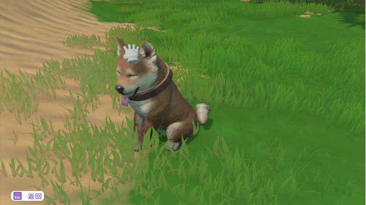 模拟宠物养成游戏《小小伙伴：狗狗小岛》NS亚洲版现已正式发售！伙伴