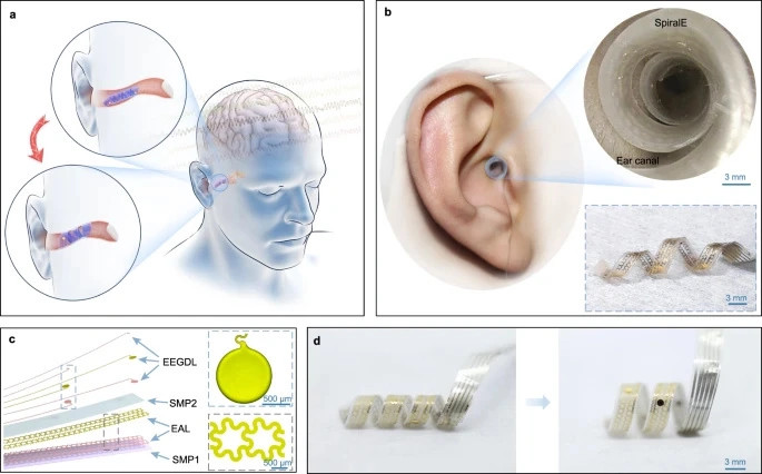 清华开发出“入耳式”新型脑机接口传感器 成果登上Nature