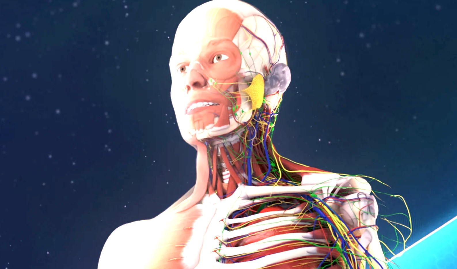 开膛破肚游戏《人体解剖VR》现已登陆PSVR