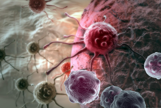 抗癌新突破 美国机构称研发出能杀死所有实体癌瘤药物