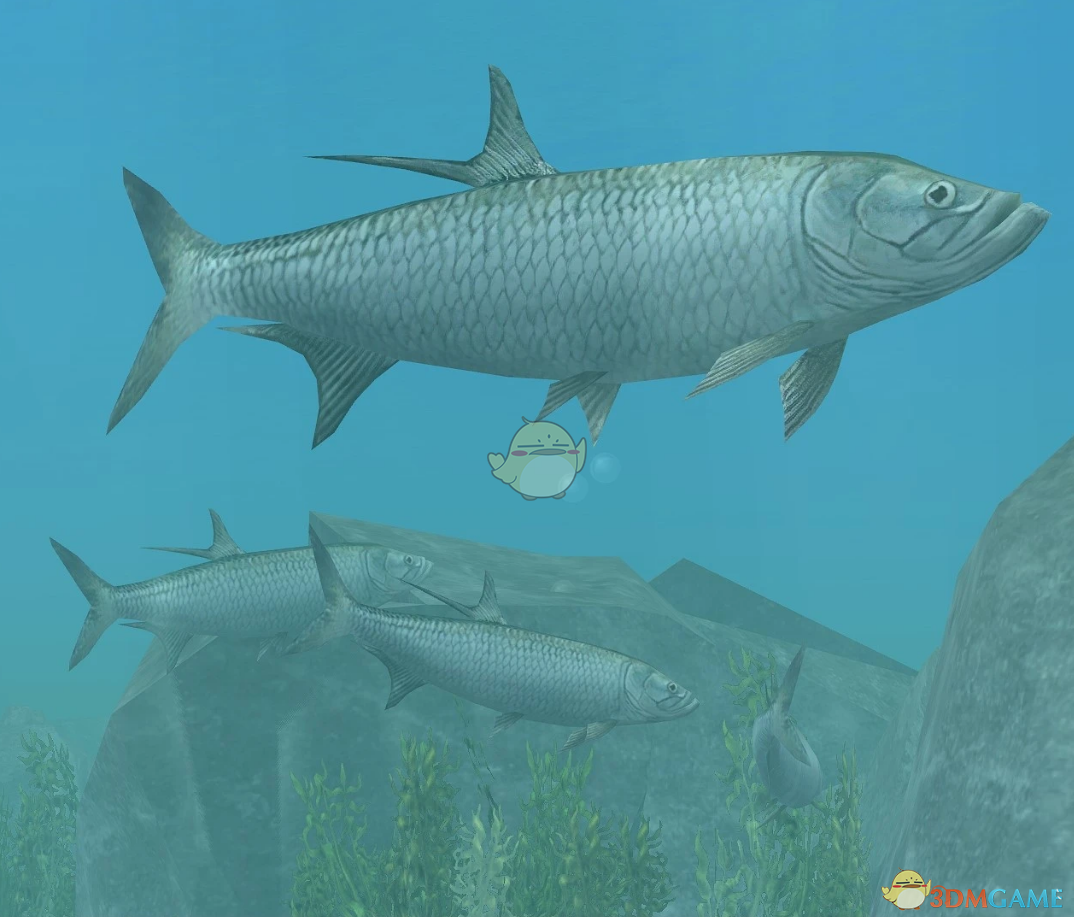 《动物园大亨2》大西洋大海鲢MOD