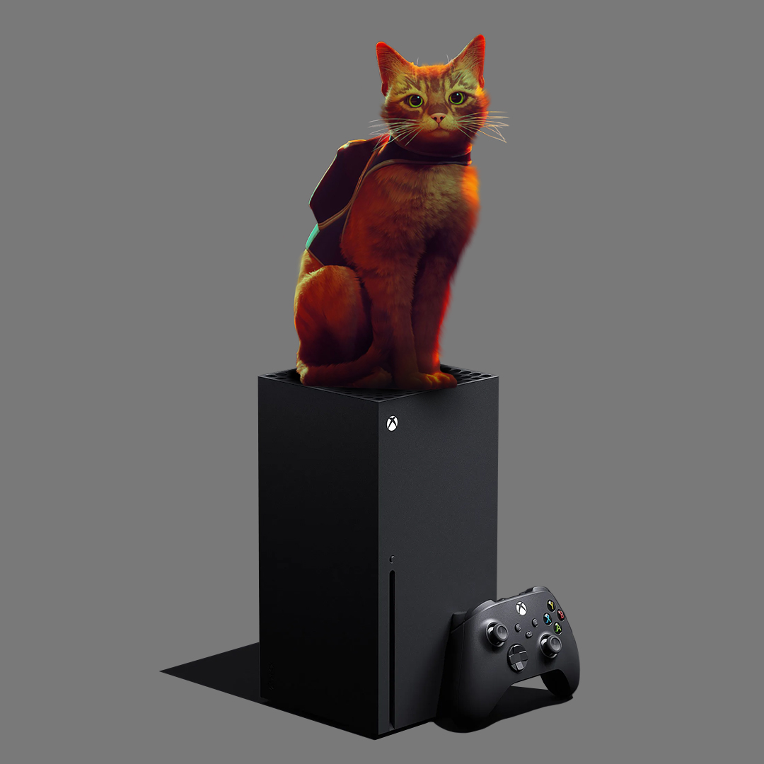 Steam好评如潮 猫咪冒险游戏《迷得》正式上岸Xbox