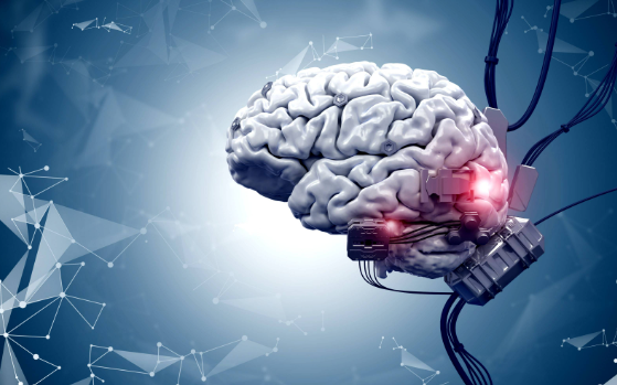 马斯克脑机接心公司将进止人体实验 招募临床患者