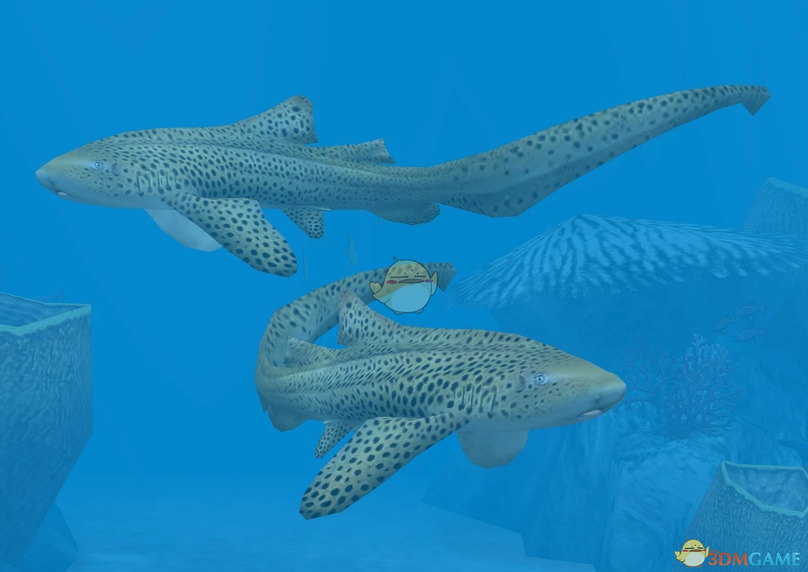 《动物园大亨2》豹纹鲨MOD