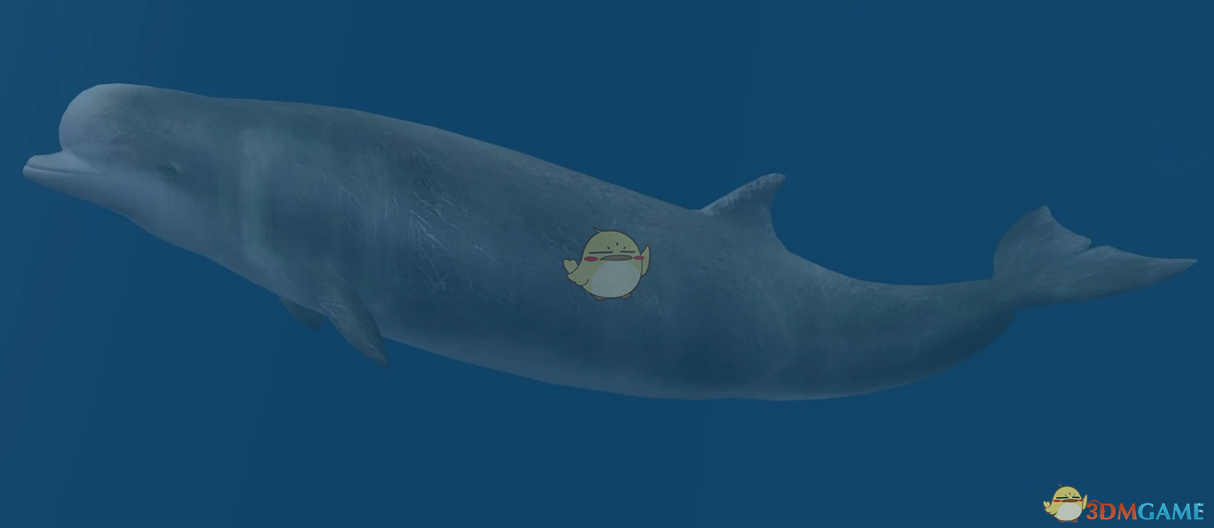 《动物园大亨2》南瓶鼻鲸MOD