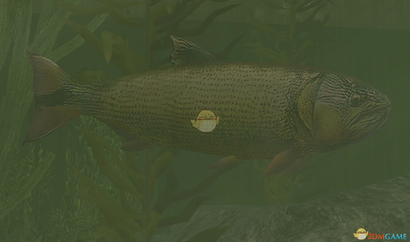 《动物园大亨2》黄金河虎MOD