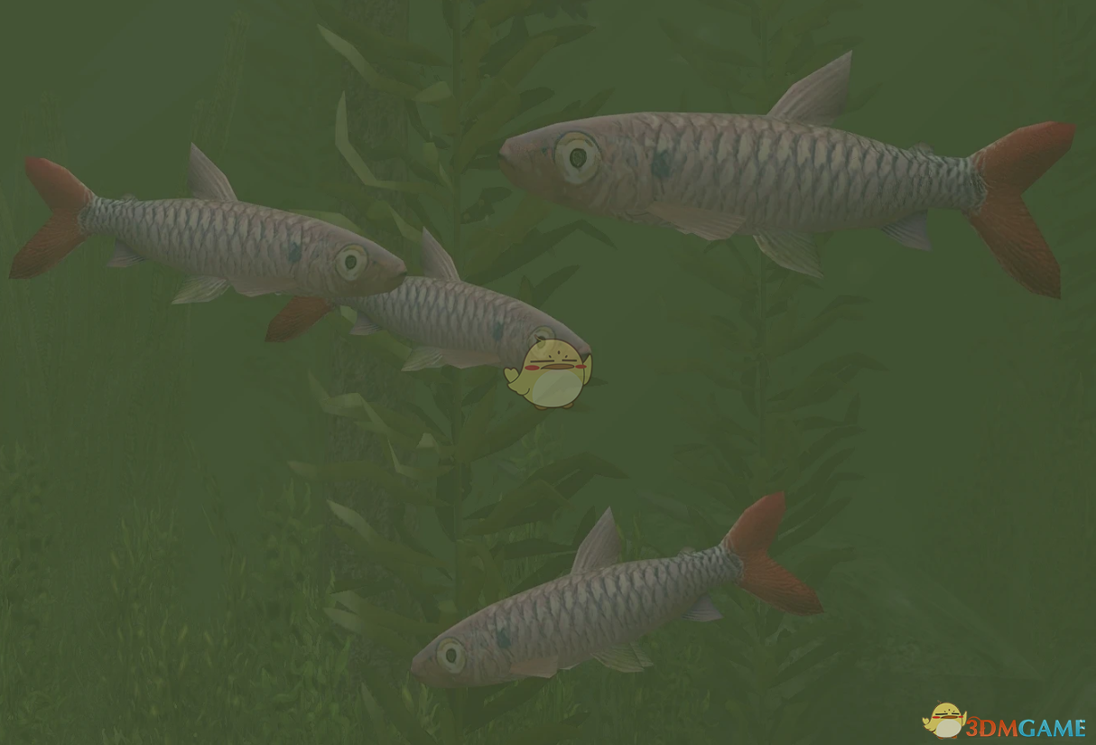 《动物园大亨2》大鳞脂鲤MOD
