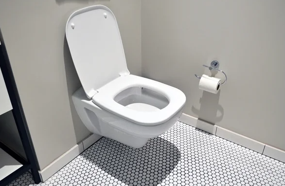 世界厕所日到了 比尔盖茨最关注厕所创新