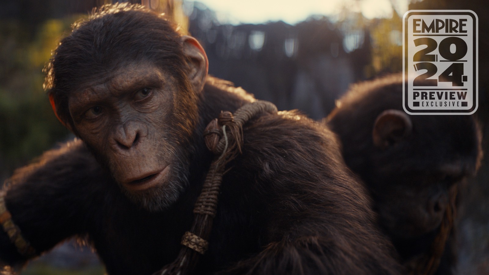2024好莱坞影视新作预览 《猩球突起4》《特技狂人》