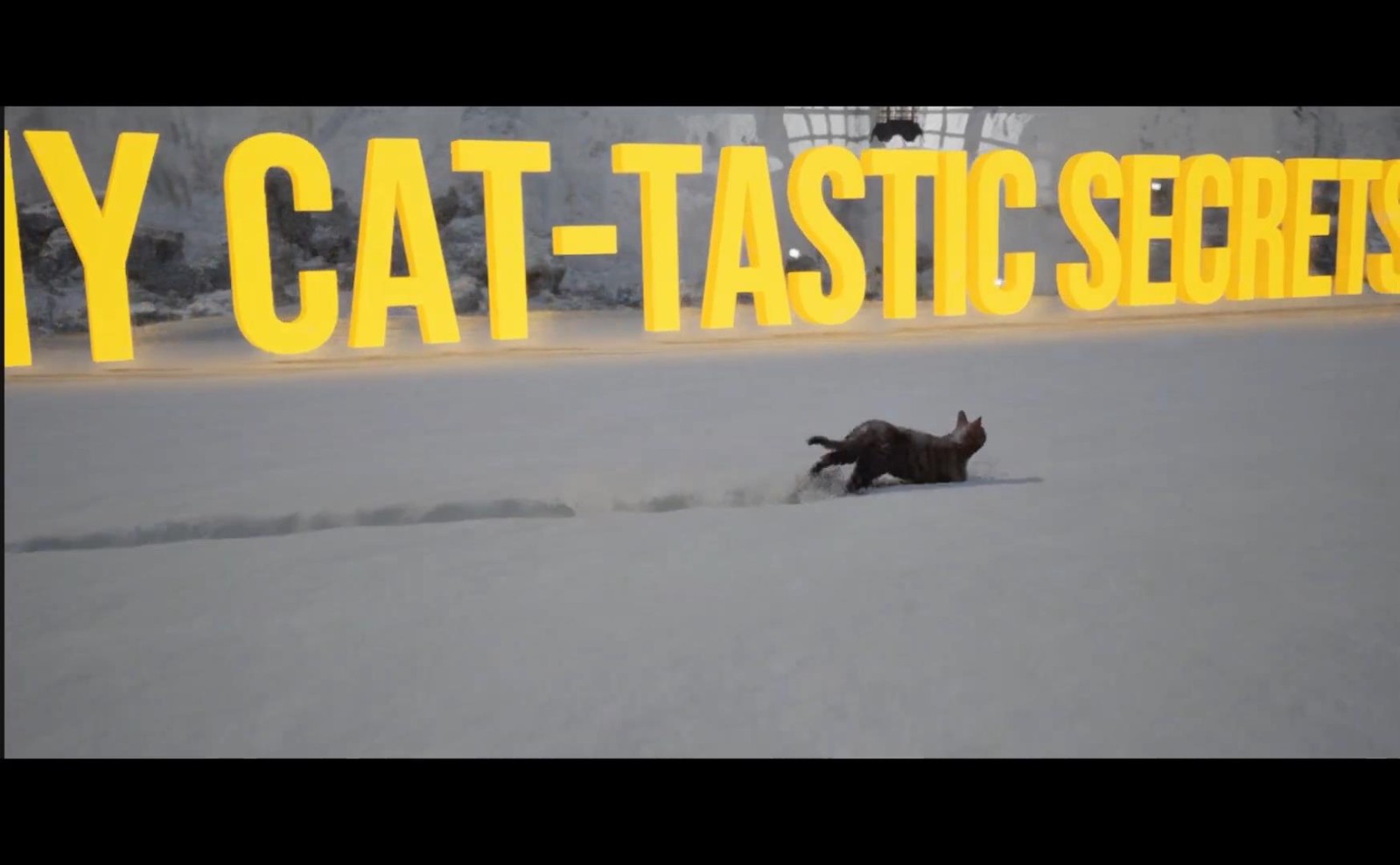 《超级猫咪模拟器》上架Steam 邪术喵探究怪异岛