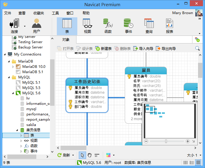 Navicat Premium64位15.0.21.0