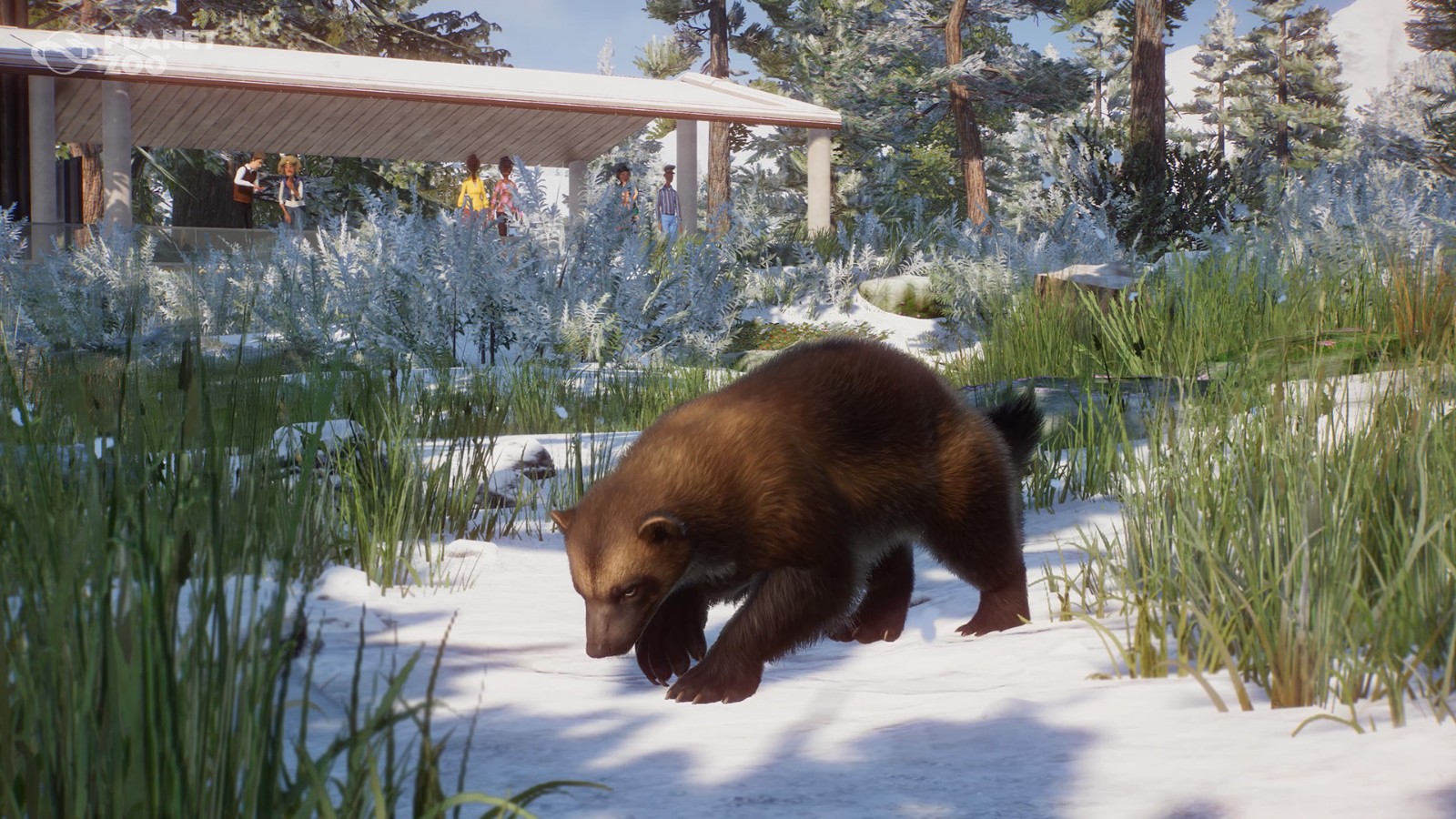 《动物园之星》新DLC欧亚动物包支卖 1.16免费更新同步推出
